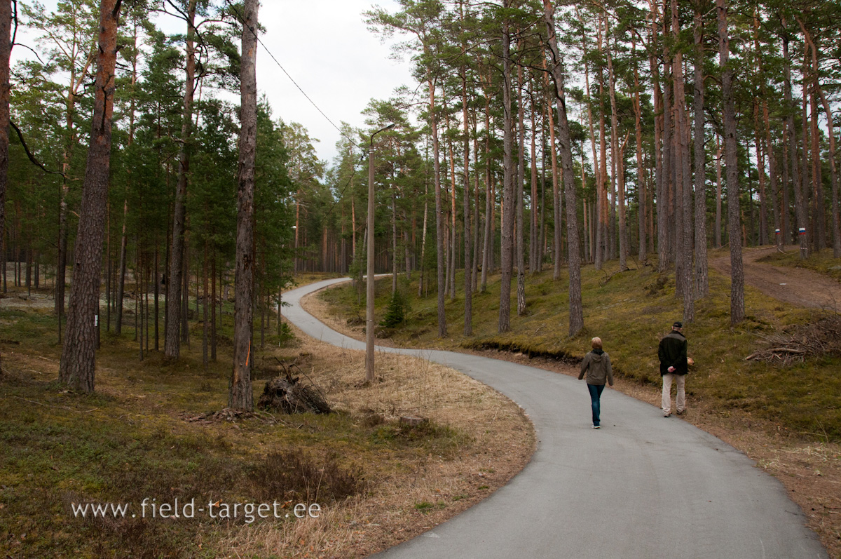 0025   .. nii need voistlusrajad tekkisid, tanu meeskkonnatoole